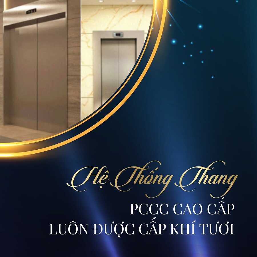 hệ thống thang pccc viha leciva